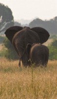 /album/fotos-afrika/img-4957-small-jpg/